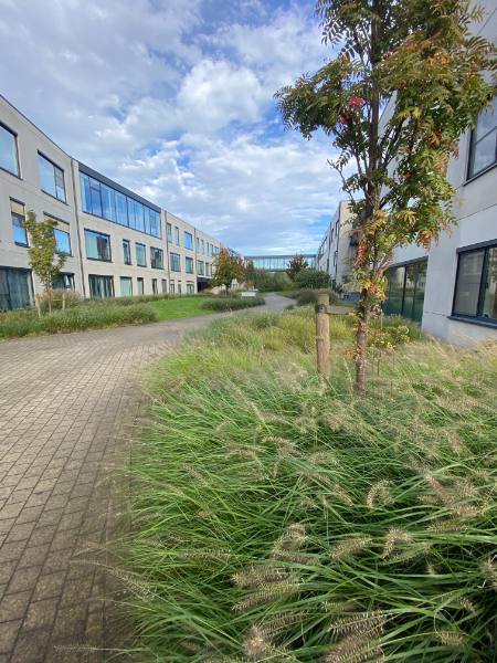 Assistentiewoning Demerhof Aarschot TE KOOP: Modern, instapklaar en met uitgebreide faciliteiten - foto 2