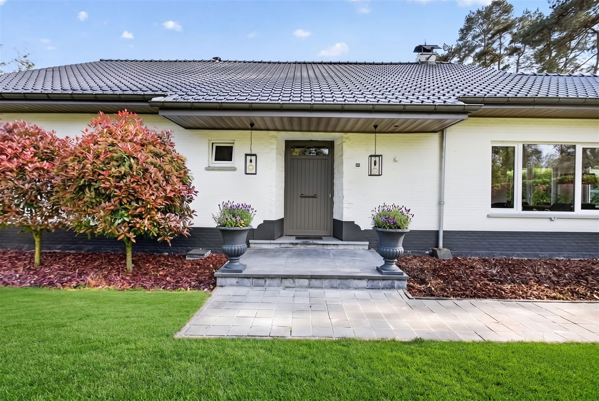 House - photo 5