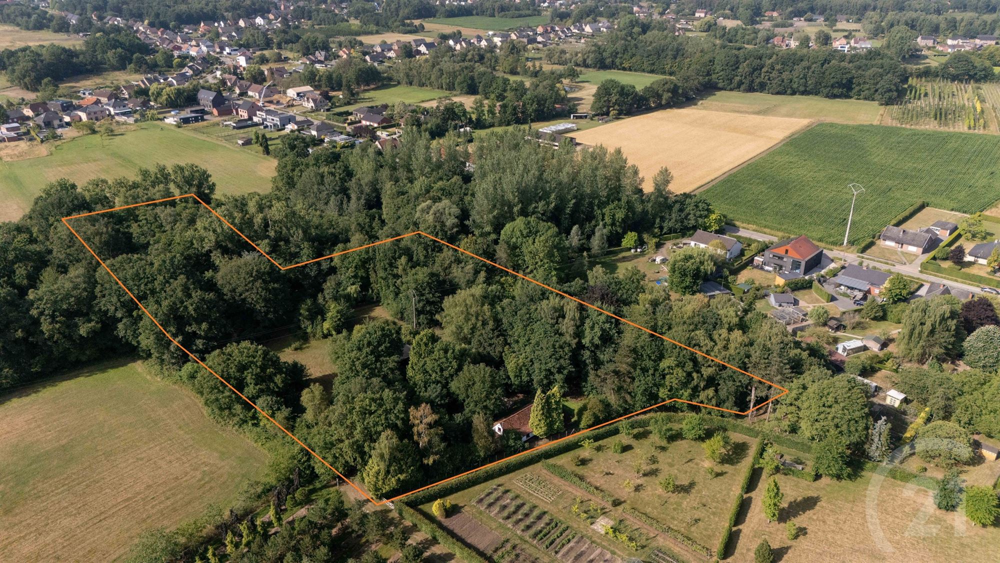 Unieke hoeve op domein van 1,5 ha – pure rust en natuurbeleving in het groen - foto 1