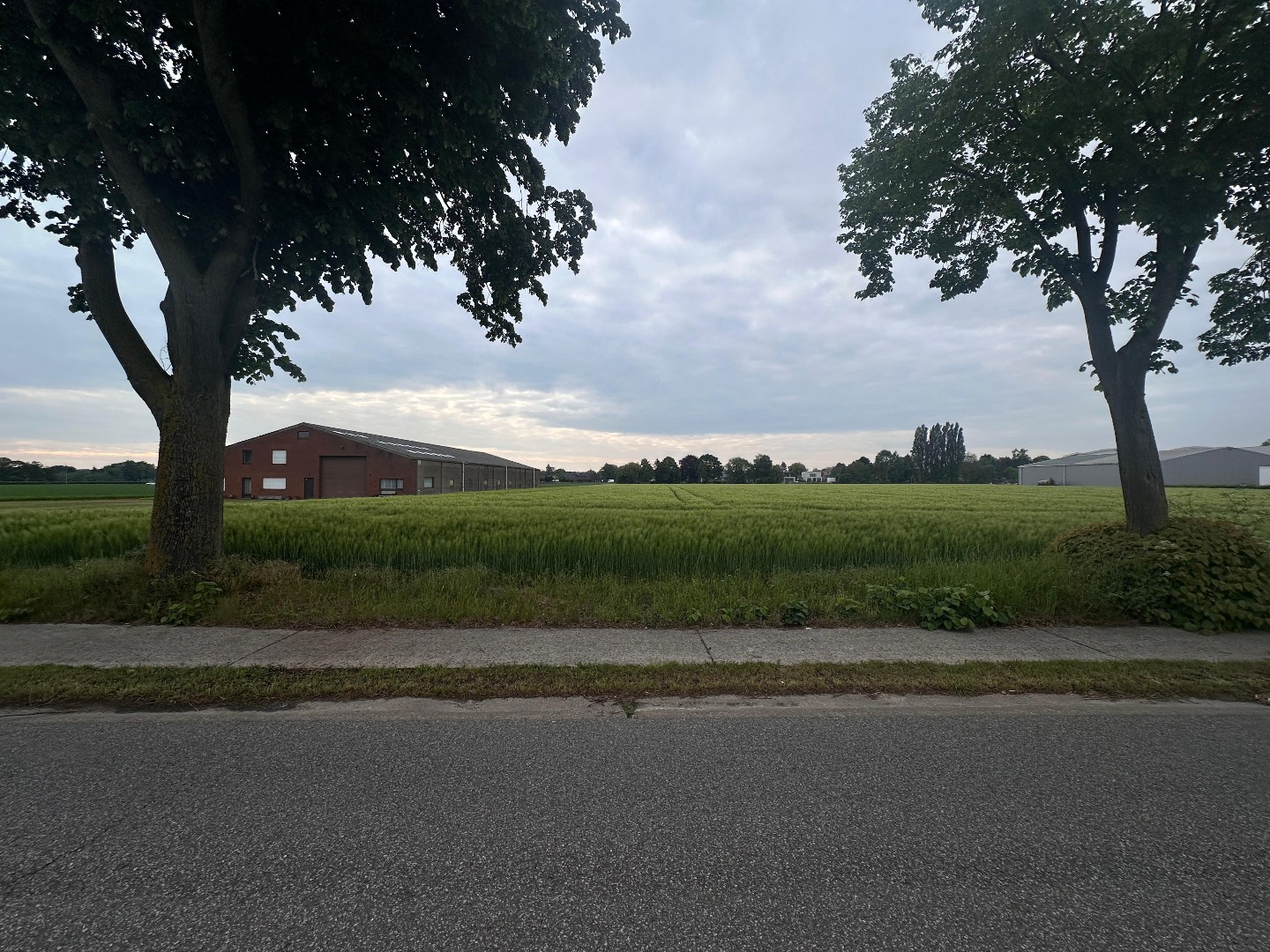 Grond te koop in Melsbroek - foto 3