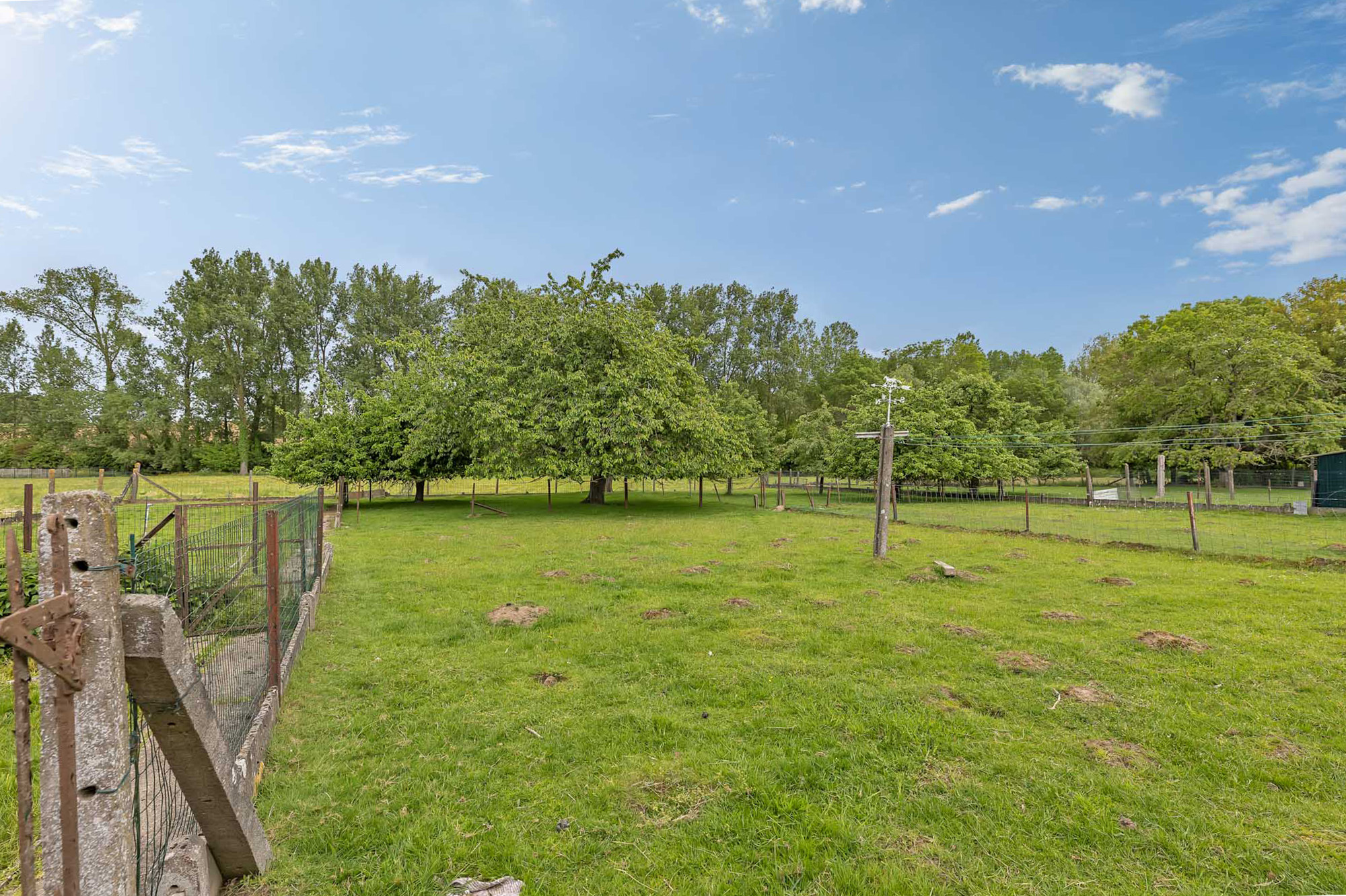 Woning op landelijke ligging met opslagplaats - foto 3