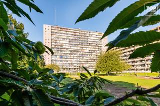 Deze instapklare gelijkvloerse studio geniet van een uitstekende ligging, met de R4 en het station Gent-Dampoort in de directe omgeving. Het bruisende centrum van Gent bereikt u in slechts 10 minuten.<br /><br />Ook op vlak van ontspanning en recreatie is de ligging een absolute troef. In de onmiddellijke omgeving vindt u onder meer een groene zone en speeltuin, Dok Noord en het Kapitein Zeppospark aan het Houtdok.<br /><br />De studio beschikt over een slaapkamer, een uitgeruste keuken, een badkamer met douche en een toilet.<br /><br />Troeven:<br /><br />Gelijkvloerse ligging<br />Instapklaar<br />Asbestveilig<br />Elektriciteit conform<br />Uitstekende bereikbaarheid<br /><br />De syndicale kosten bedragen €290 per maand, inclusief water en verwarming.<br /><br />Het appartement is vrij bij akte.<br /><br />Contacteer Top Vastgoed voor een bezoek op 0475 700 700.