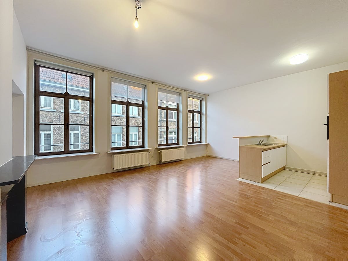 Bright 1 bedroom apartment for rent in Bruges - photo 1