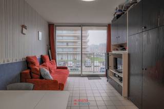 Deze charmante studio is gelegen op een uitstekende locatie in Nieuwpoort, op wandelafstand van het strand, de winkelstraat en het openbaar...