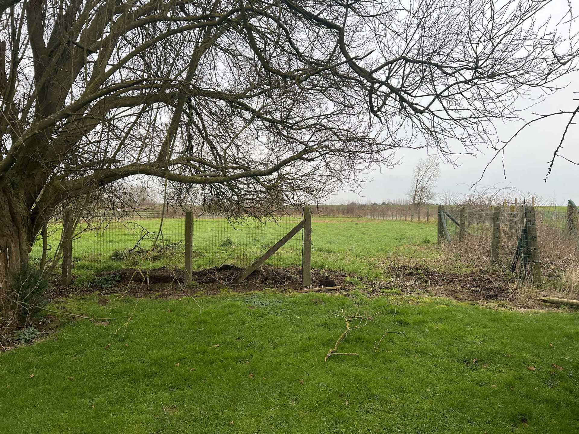 Prachtige bouwgrond voor OB op een perceel 21are 11ca - foto 4