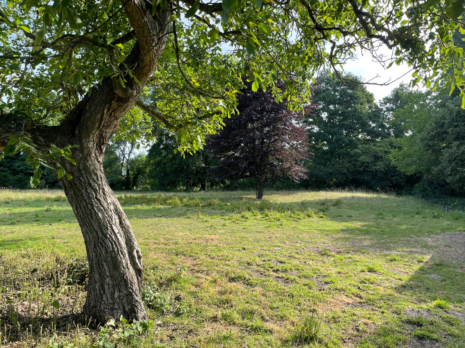 Prachtige landelijke woning met verzicht op natuur - foto 4