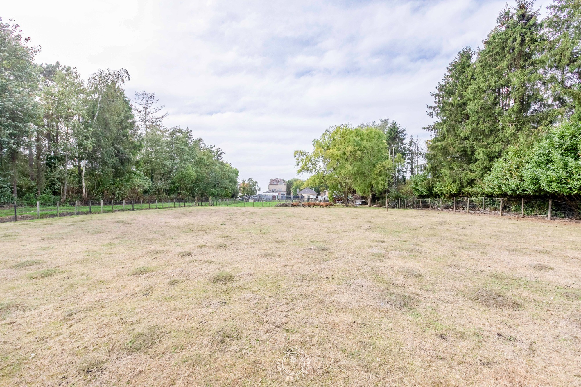 Praktische bungalow met werkplaats en weiland van 3.059 m² - foto 5