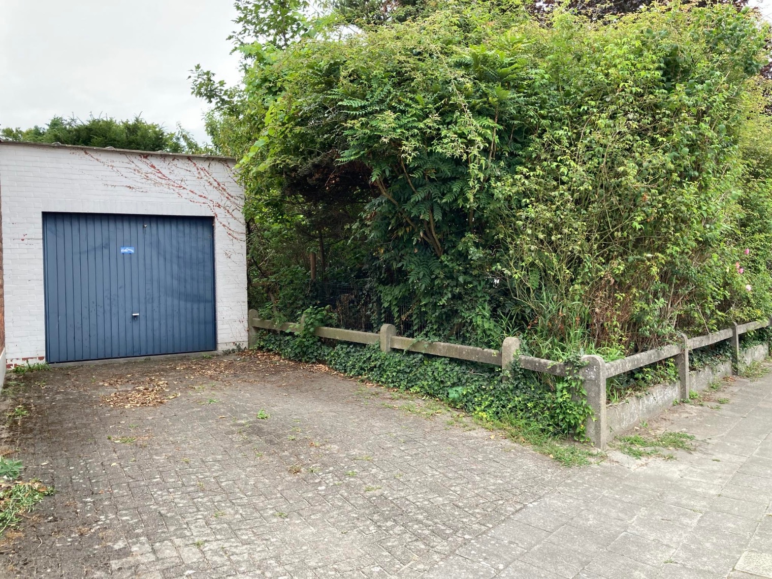 Huis te koop in Sint-Amands met 3 slaapkamers - foto 4