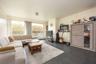 <p><span>kitchen with induction hob / refrigerator / freezer / dishwasher (+loose refrigerator)</span></p>