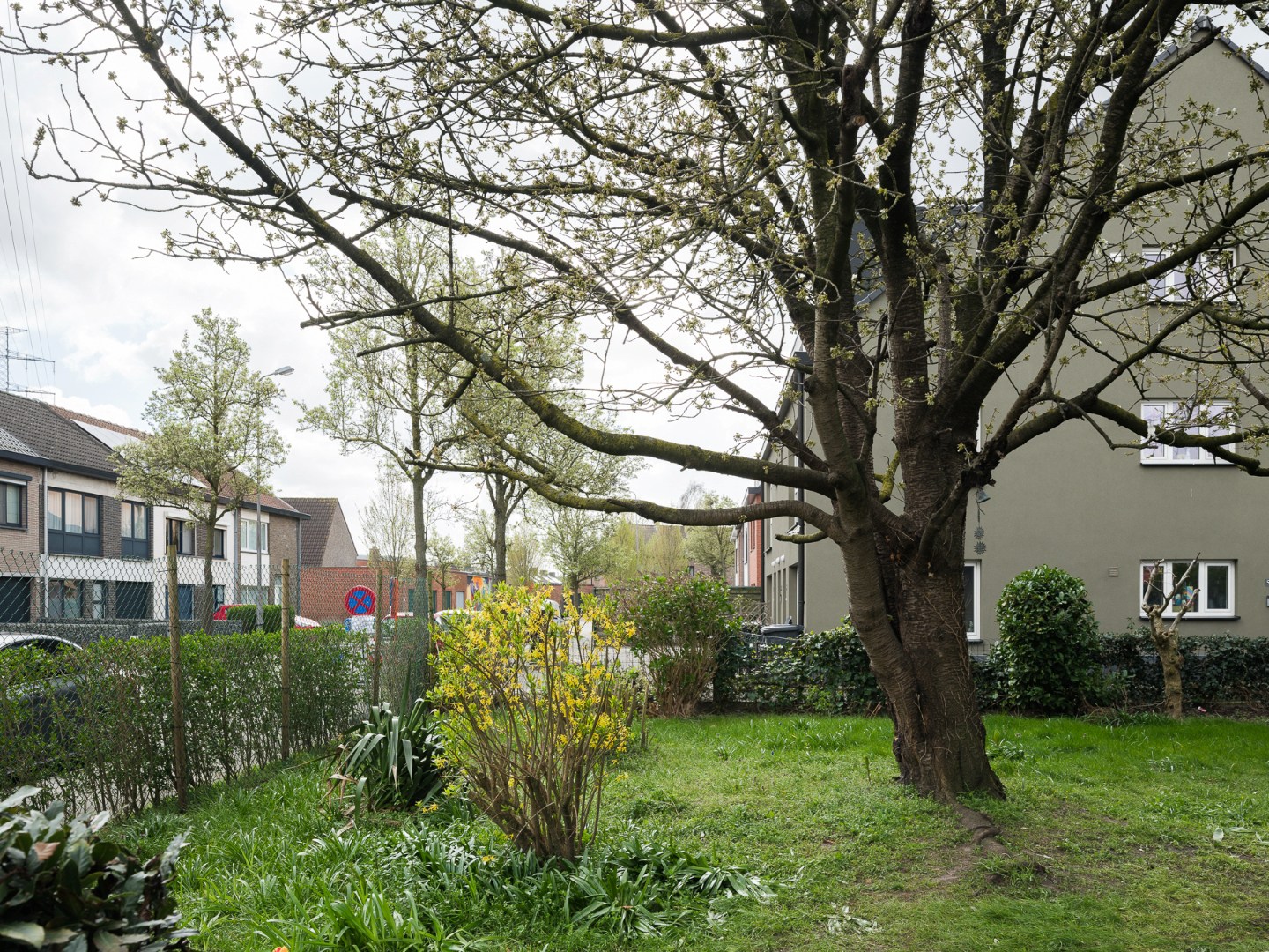 Bouwgrond met potentieel in het charmante Wondelgem - foto 4