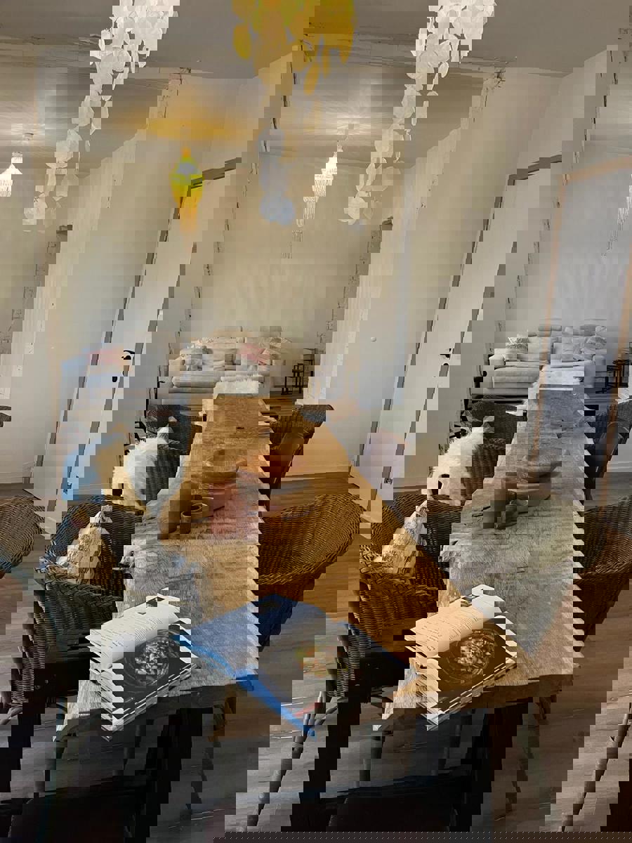 Gerenoveerde handelspand met zonnige tuin + parkeerplaatsen - foto 3