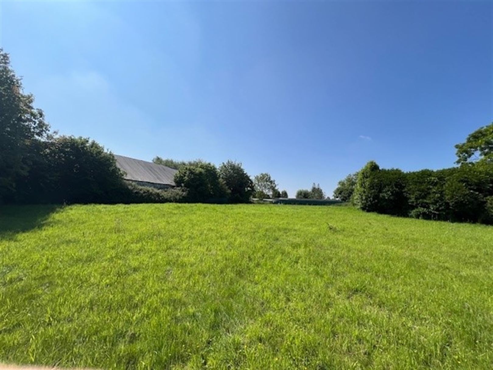 bouwgrond 2544 m2 Zwalm - foto 1