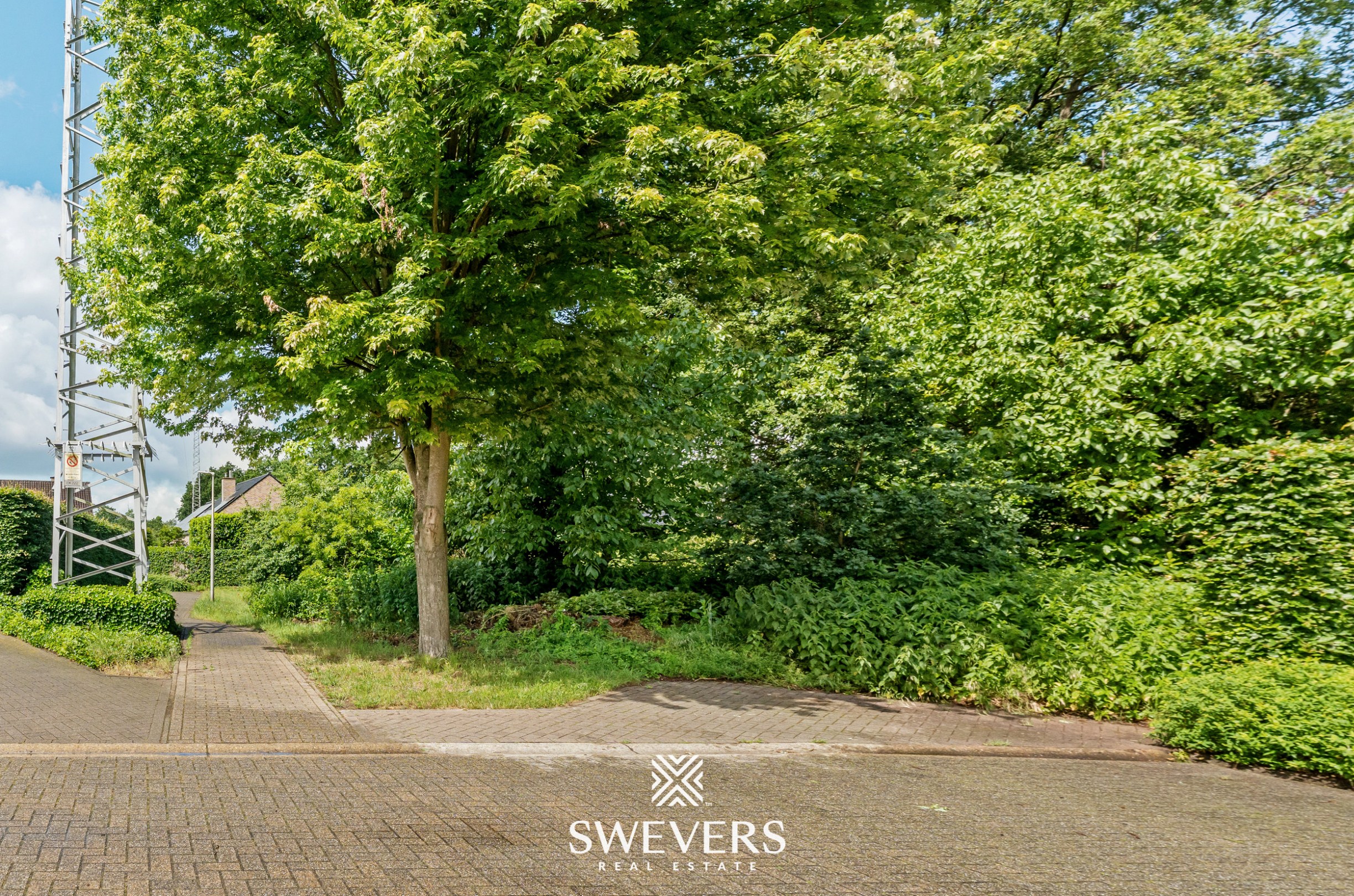 Unieke bouwkans in het groen: 1.188 m² in doodlopende straat in Zolder - foto 2
