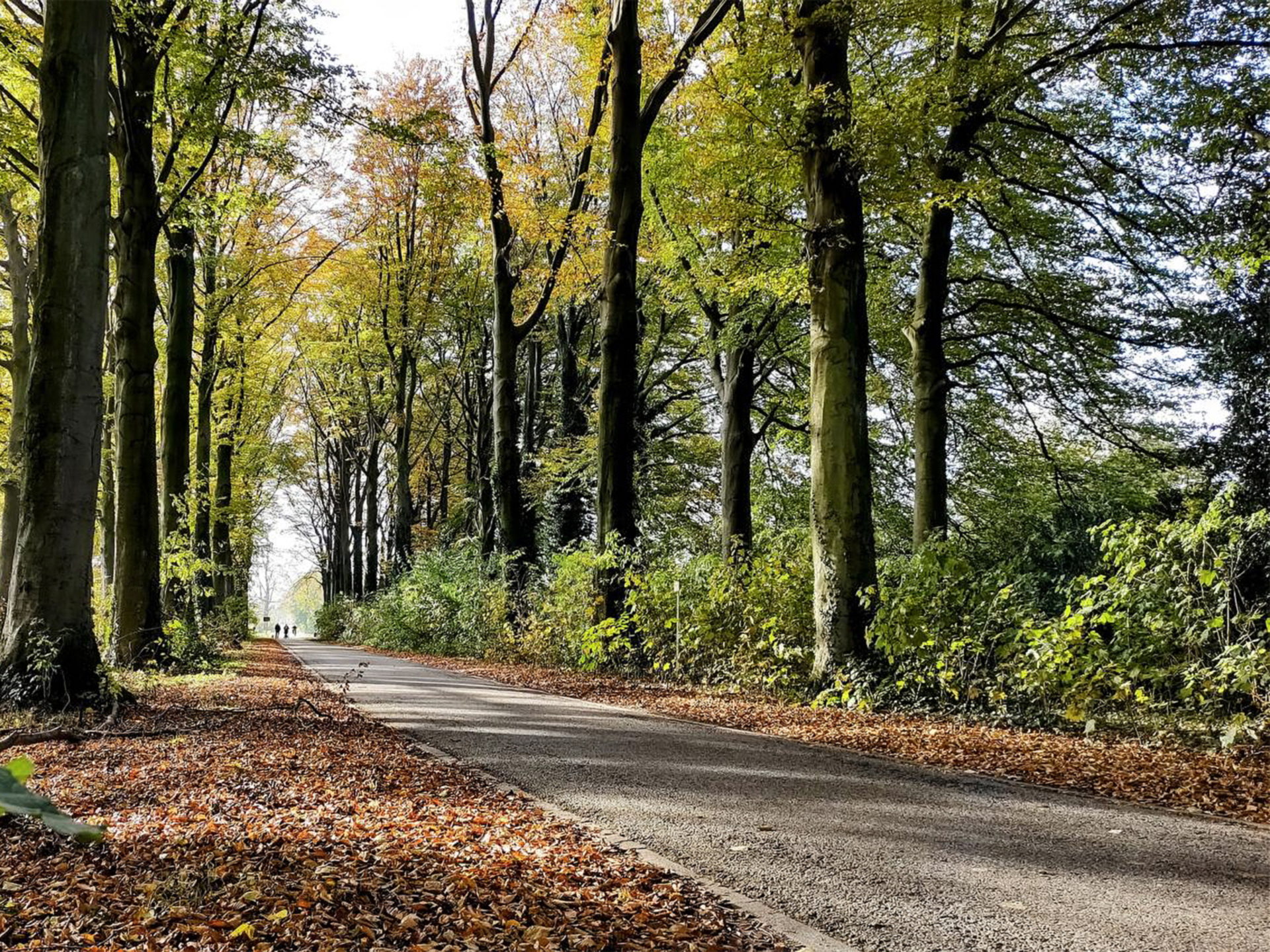 COMING SOON - Villa op residentiële toplocatie te Aartselaar