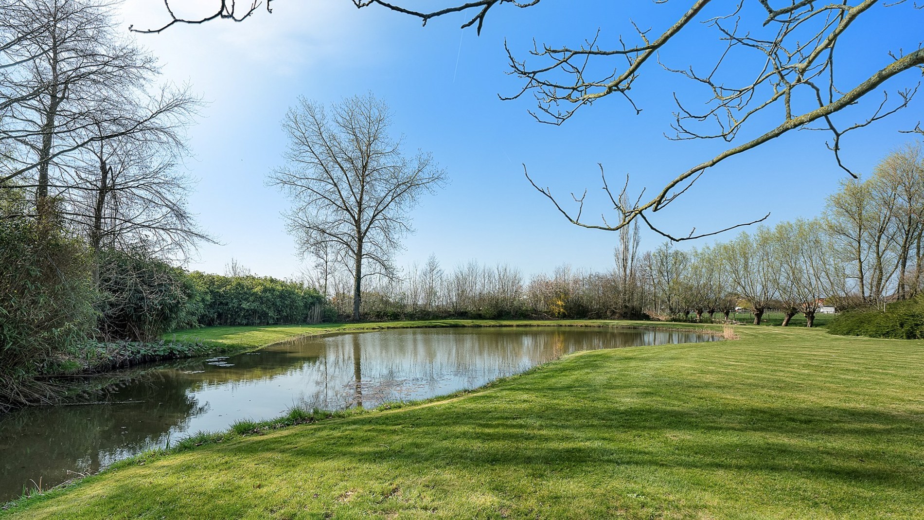 Landelijke villa op ruim 1 hectare grond te Maldegem - foto 3