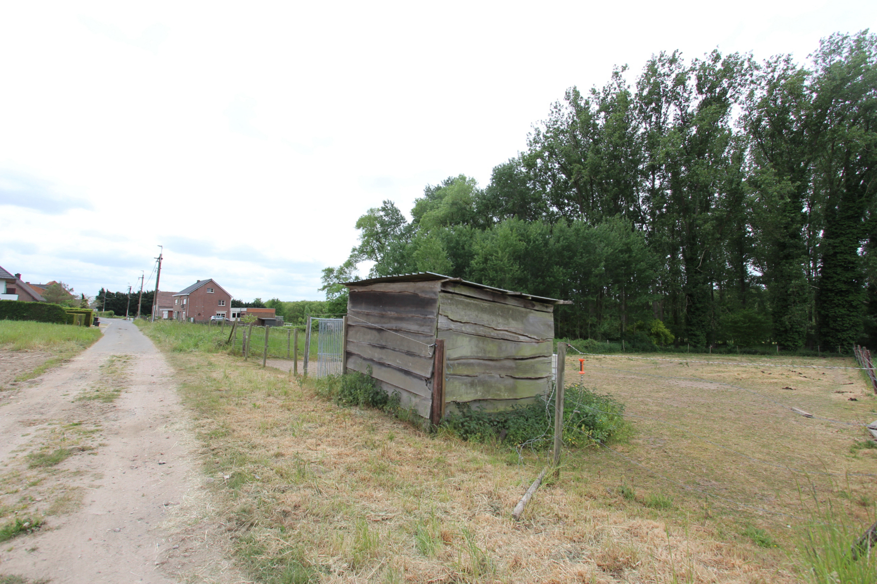 Perceel weide gelegen in woonuitbreidingsgebied te Wanzele - foto 4