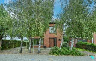 Rustig gelegen, te renoveren halfopen bebouwing met een bewoonbare oppervlakte van 132 m² (volgens EPC-attest) gelegen op een perceel van 577 m². Deze eengezinswoning met drie slaapkamers geniet van een rustige, groene ligging op de wijk De Mol en beschikt tegelijkertijd over een uitstekende bereikbaarheid dankzij de onmiddellijke nabijheid van de Rijksweg (N36) alsook het op- en afrittencomplex E403 (Roeselare-Rumbeke). Indeling: uitnodigende inkomhal, apart gastentoilet, leefruimte met zicht en toegang naar de tuin, keuken, kleine berging en extra bergruimte/wasplaats (vroeger een inpandige garage). Op de eerste verdieping bevindt zich de nachthal, badkamer en drie slaapkamers. De zolder is te bereiken via een trapluik in de nachthal. Verder beschikt deze woning over een tuin (N), terras, garage en oprit voor meerdere wagens. Houtkachel | Hoofdzakelijk dubbele beglazing (HR)(PVC en hout) | Rolluiken (elektrisch bedienbaar op gelijkvloers) | Renovatieverplichting van toepassing | Stedenbouw in aanvraag | Justine organiseert voor deze woning de bezoeken, mits het maken van een afspraak. www.bordes.be - <strong>Elk prijsvoorstel hoger dan deze startprijs zal worden voorgelegd aan de verkoper(s) die dit al dan niet kan/kunnen aanvaarden.</strong>