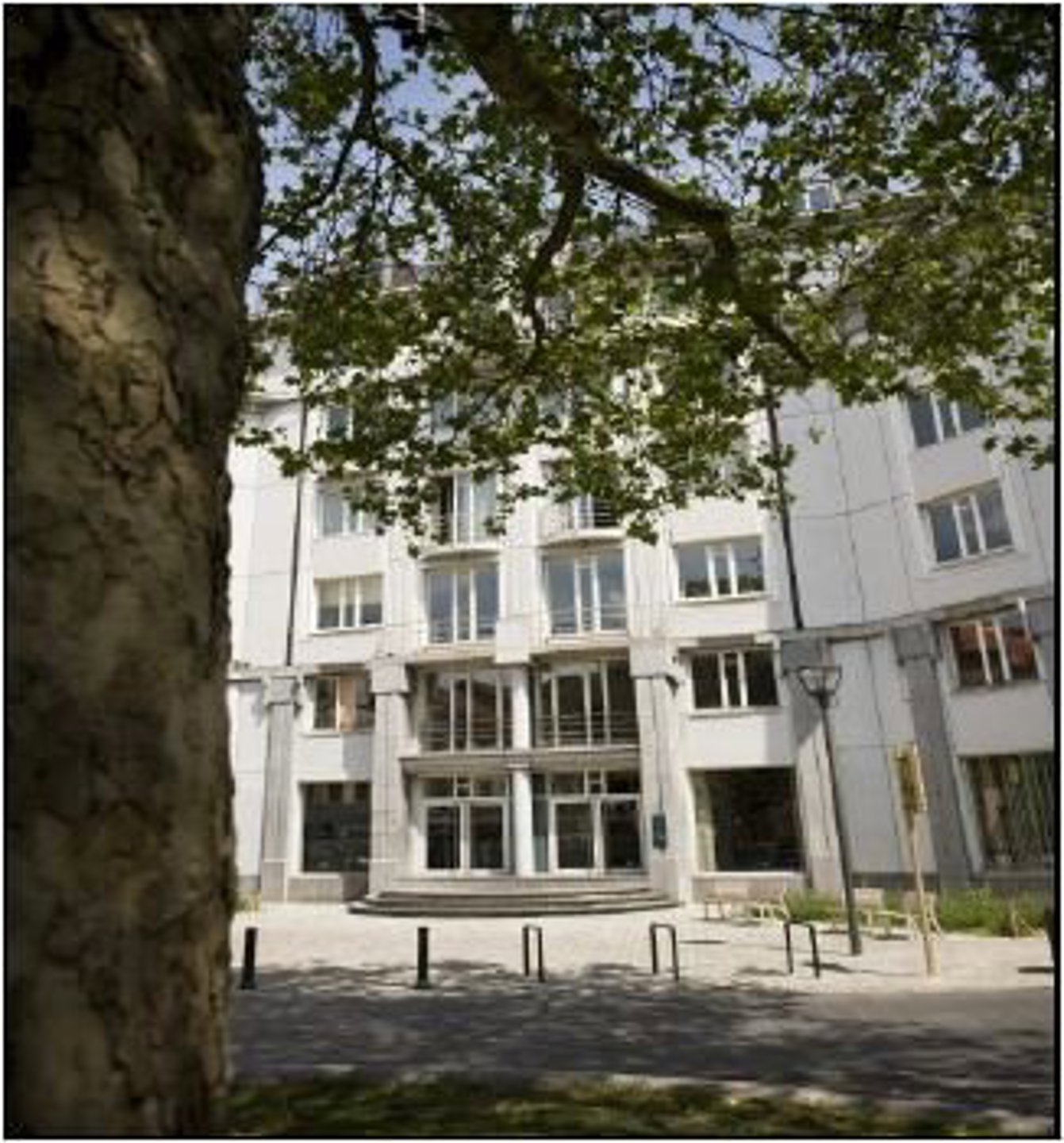 Commercial for rent in Sint-Gillis - photo 2