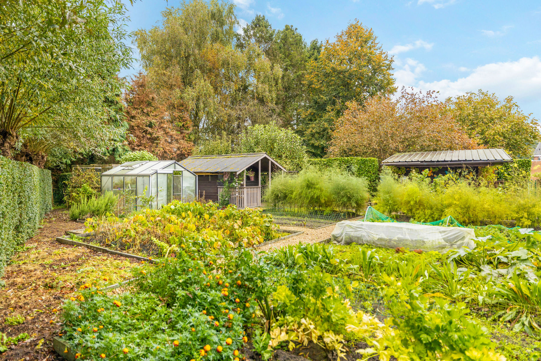 Unieke kangoeroewoning op 1440m² met 4 slaapkamers - foto 4