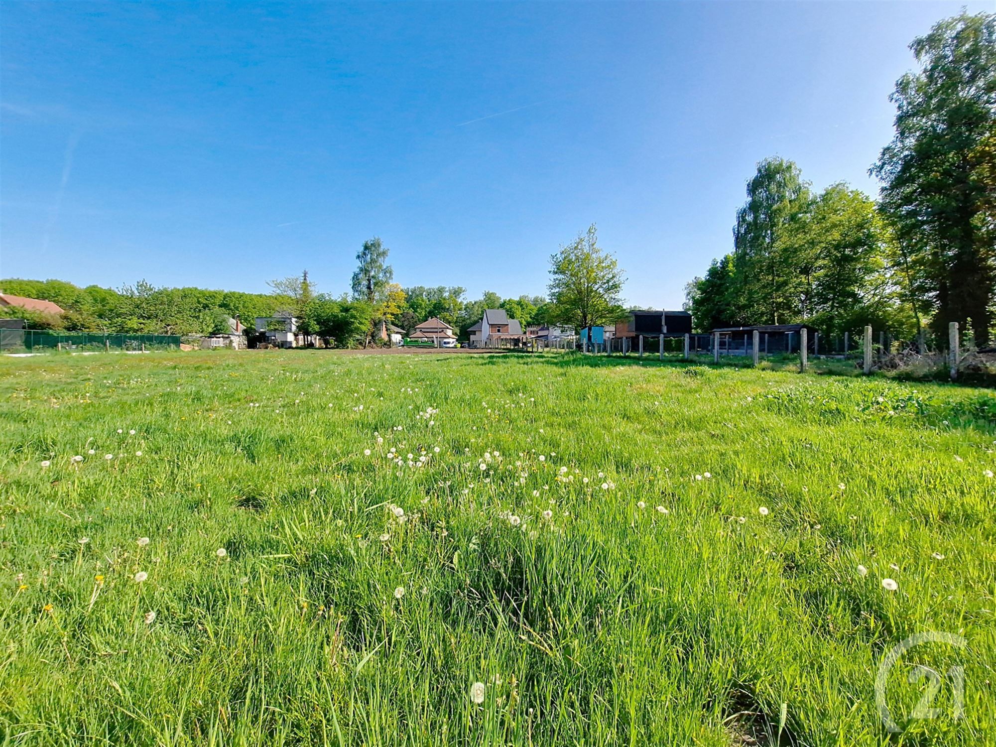 Bouwgrond te koop in Begijnendijk! - foto 3