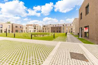 On Sint-Truidersteenweg 419A in Sint-Lambrechts-Herk, we find this energy-efficient new-build home with a habitable area of 152 m². On the...