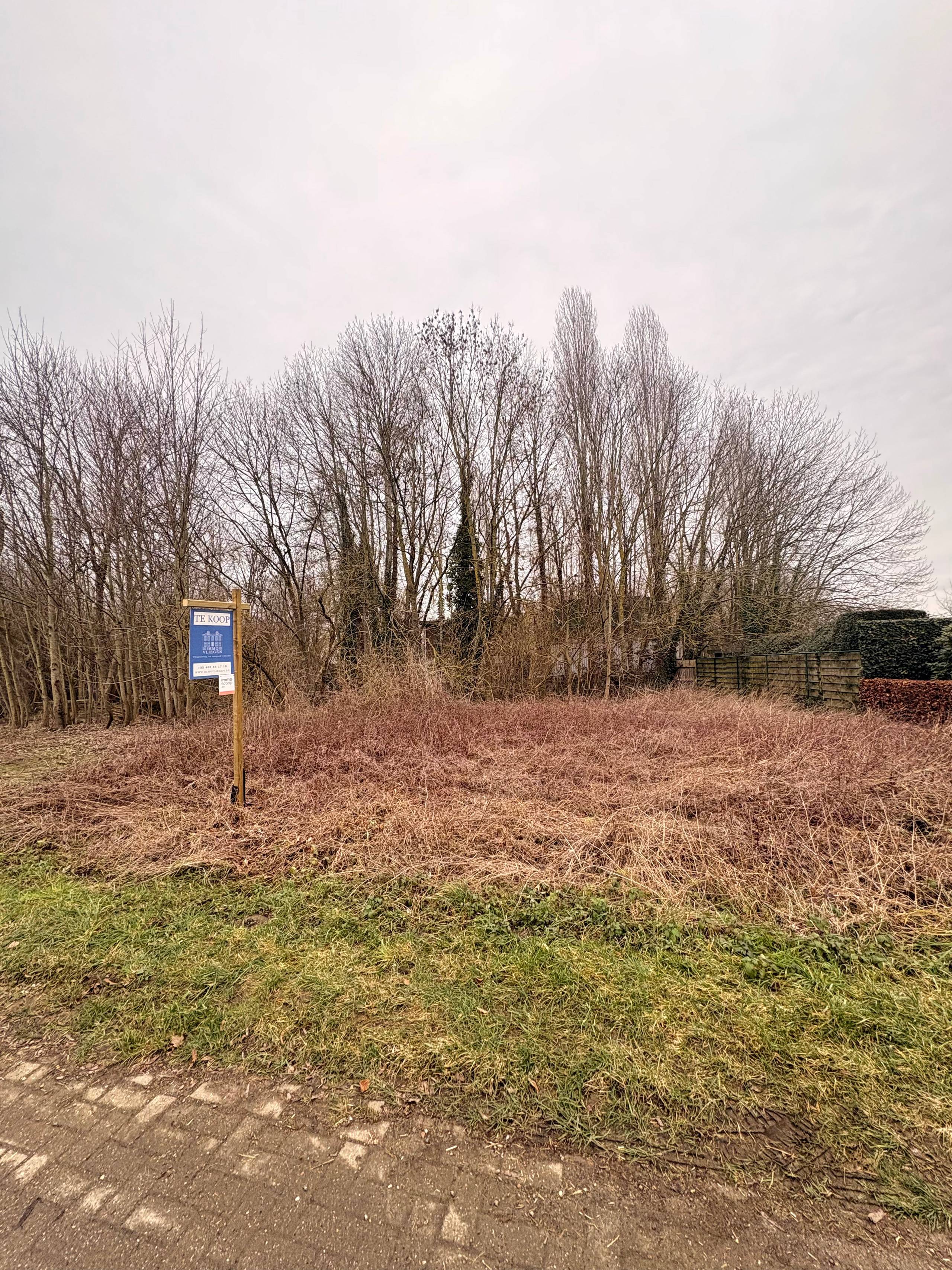 Terrain à vendre à Meeswijk - photo 3