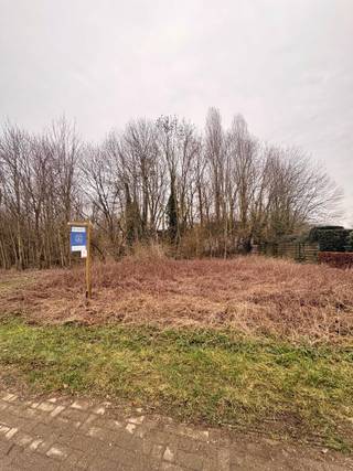 Terrain à vendre à Maasmechelen