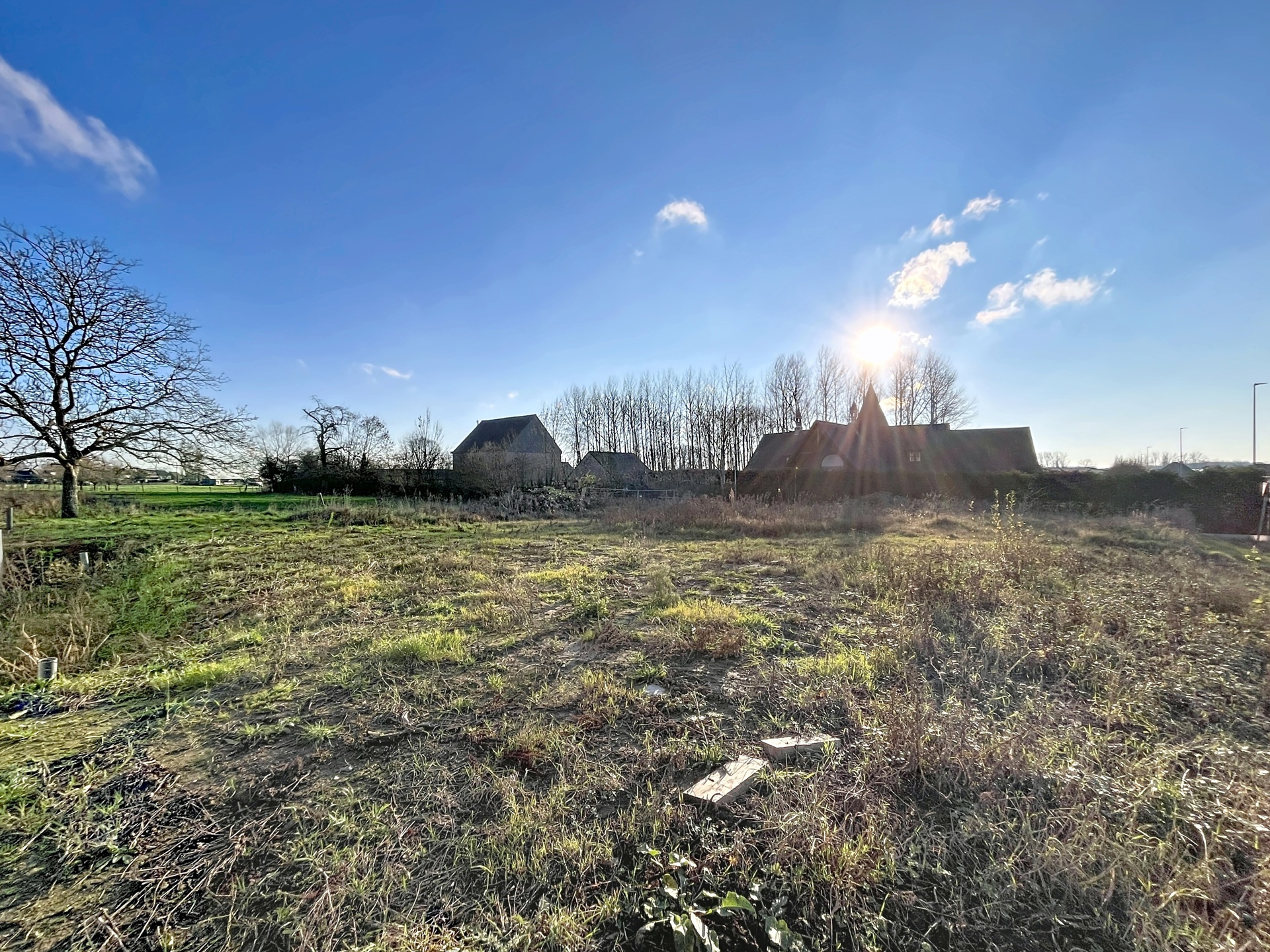 Land for sale in Nederhasselt - photo 4