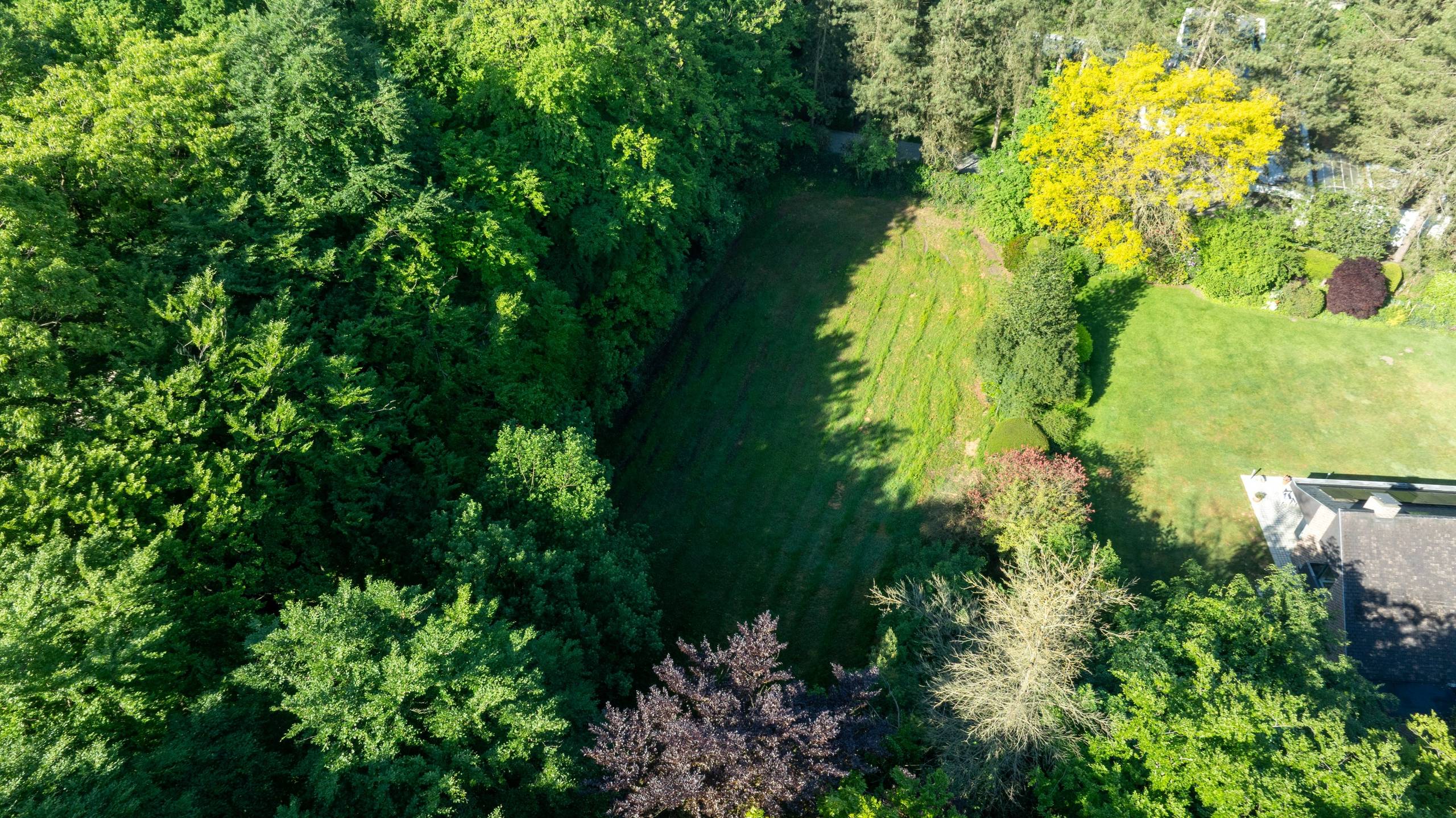Ruime bouwgrond te koop op toplocatie in het Loveld te Aalter - foto 4
