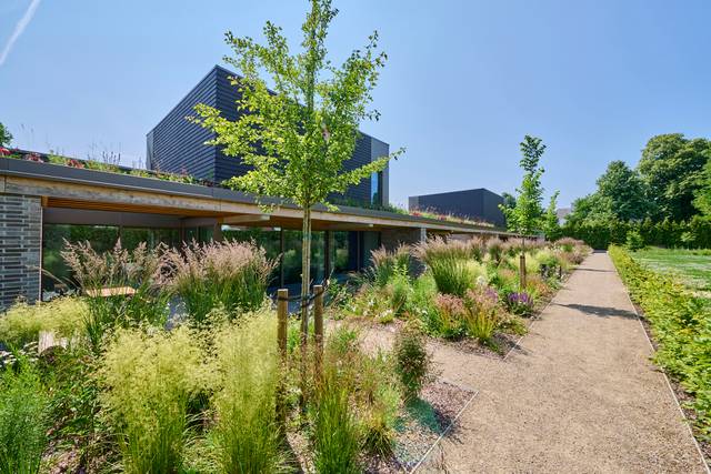 Project te koop in Hasselt