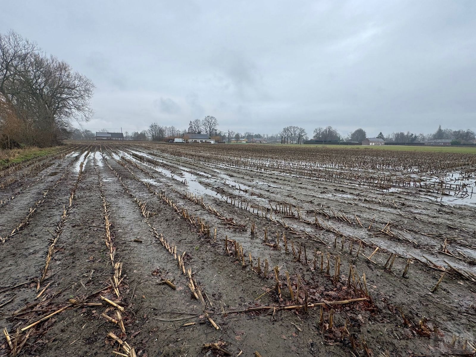 Goed gelegen landbouwgrond met opp van 12.630m² te Putte! - foto 5