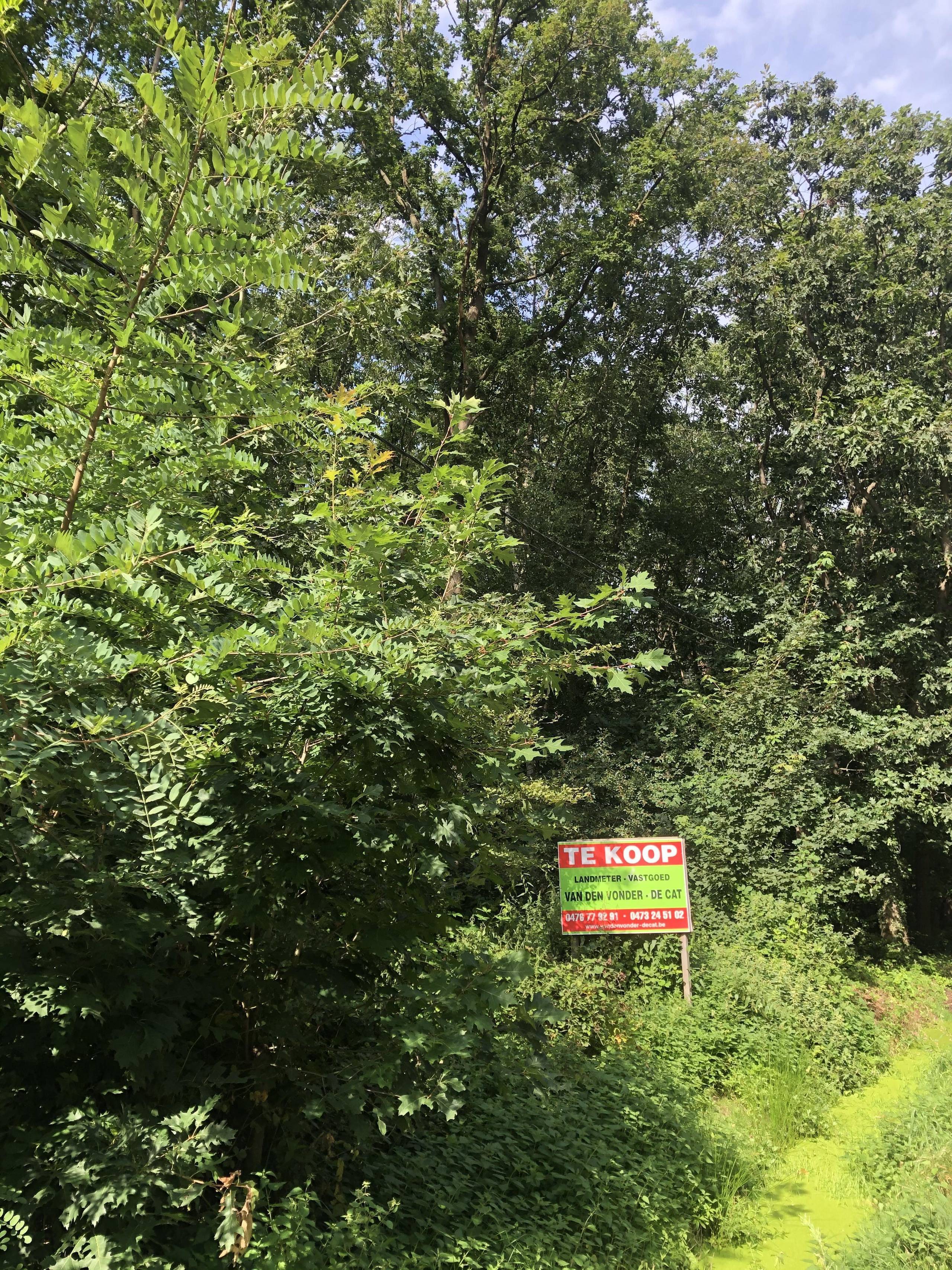 Land for sale in Westmeerbeek - photo 1