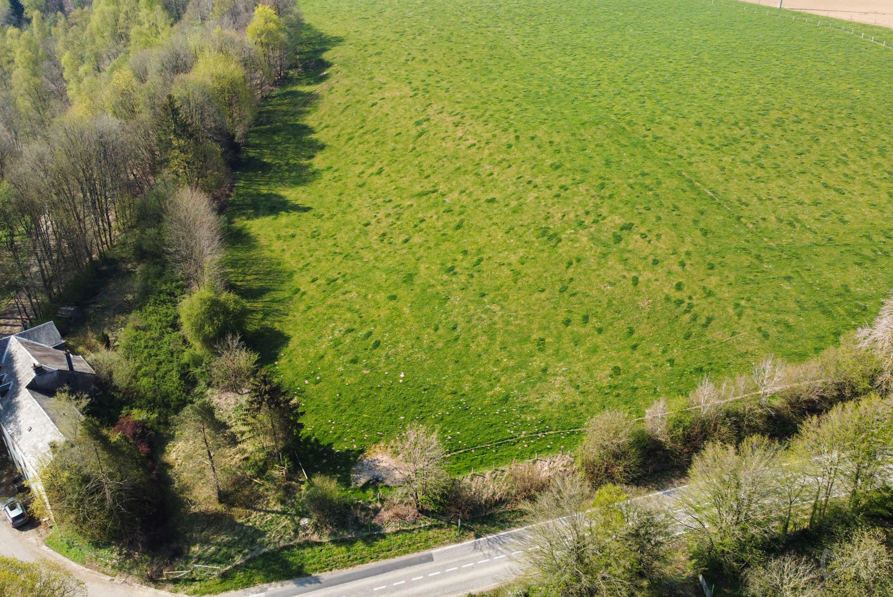 Naleumont/projet lotissement - foto 2