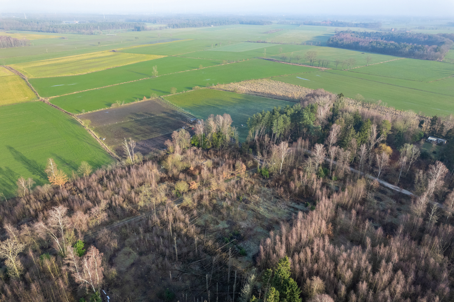 Grond te koop in Brecht - foto 3