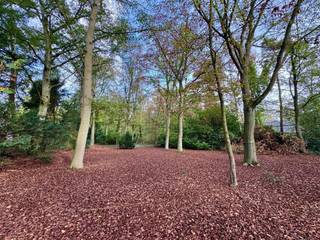 <p><span>Mooi bouwperceel van 2.045 m² met een straatbreedte van ca. 35 meter, op een zeer gegeerde en rustige locatie in Dennendael, natuurdomein “Klein Schietveld” ligt letterlijk om de hoek. <br />Eén van de quasi laatste bouwgronden in deze groene omgeving met een prachtige bomenstand. </span></p><p><span> </span></p><p><span>De bouwvoorschriften “RUP Woonbos 2” zijn van toepassing, algemeen: </span></p><p><span>- Maximaal bebouwbare oppervlakte: 250m².</span></p><p><span>- Maximale bouwbreedte: maximaal 2/3 van de breedte van het perceel op de voorgevelbouwlijn.</span></p><p><span>- Maximale bouwhoogte: twee verdiepingen en eventueel een schuin dak</span></p><p><span> </span></p><p><span>De volledige bouwvoorschriften zijn op aanvraag verkrijgbaar bij ons kantoor.</span></p><p><span> </span></p><p><span> </span></p>