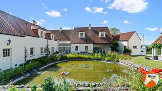 FRASNES - Exclusieve eigendom met 3 woonentiteiten en B&B<br /><br />In het rustige en landelijke Frasnes bevindt zich deze uitzonderlijke eigendom op een perceel van maar liefst 1,15 hectare. Met een bewoonbare oppervlakte van circa 830 m² combineert deze unieke woning royaal wooncomfort met tal van mogelijkheden voor werken, verhuren en ontspannen.<br /><br />De statige hoofdwoning beschikt over zes ruime slaapkamers, zes badkamers, twee volledig uitgeruste keukens en indrukwekkende leefruimtes die zich perfect lenen voor een groot gezin, een kangoeroewoning of een combinatie van wonen en een vrij beroep of praktijk.<br />Onder de hoofdwoning bevindt zich een volledig ingerichte, afzonderlijke woonunit. Daarnaast zorgen een garage, wijnkelder en praktische wasruimte voor extra comfort.<br /><br />De eigendom biedt bovendien een aantrekkelijk investeringspotentieel. Een gedeelte van de woning wordt momenteel succesvol verhuurd via Airbnb, terwijl twee kamers met eigen badkamer op jaarbasis worden verhuurd. Achteraan het domein bevindt zich een extra appartement met een aparte ingang, dat eveneens een mooi huurrendement genereert.<br /><br />Het naastgelegen bijgebouw biedt nog tal van extra mogelijkheden en kan perfect dienst doen als kantoor, praktijkruimte, gastenverblijf of vakantiewoning.<br /><br />Ook buiten is het volop genieten. De prachtig aangelegde tuin beschikt over een verwarmd zwembad met stijlvol poolhouse, een sfeervolle vijver, een boomgaard en uitgestrekte weides. Dankzij de royale perceeloppervlakte is deze eigendom bovendien bijzonder geschikt voor paardenliefhebbers of dierenhouders die hun hobby of activiteit aan huis willen combineren.<br /><br />Deze exclusieve eigendom onderscheidt zich door haar indrukwekkende volumes, kwalitatieve architectuur en uitzonderlijke flexibiliteit in gebruik. Een zeldzame opportuniteit voor wie op zoek is naar ruimte, privacy en een eigendom met ongekende mogelijkheden, op een centrale en vlot bereikbare ligging.<br /><br />Voor meer informatie of een bezoek, kan u ons steeds contacteren via 053/60.65.66.