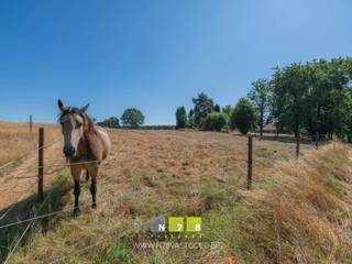 Land for sale in Maaseik