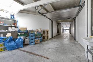 Het magazijn van ca. 136m² is vlot bereikbaar via een doorrit die ook extra afsluitbaar is met een recente houten poort. Specificaties:-...