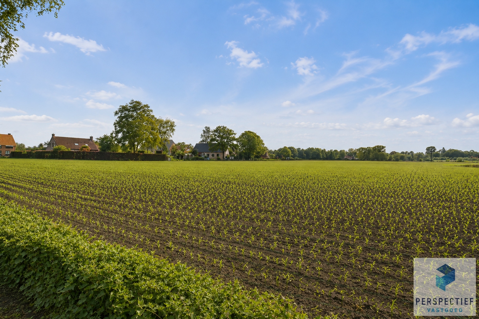 IN OPTIE - COMPROMIS IN OPMAAK | Rustig en centraal gelegen woning met landelijk uitzicht, grote garage en tuin - foto 3