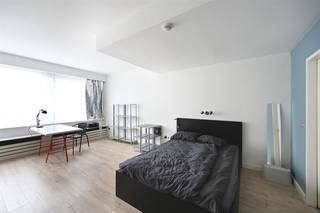 Studio gelegen op toplocatie in Antwerpen nabij het Stadspark, de Meir met zijn talloze winkels, vele restaurants en de...