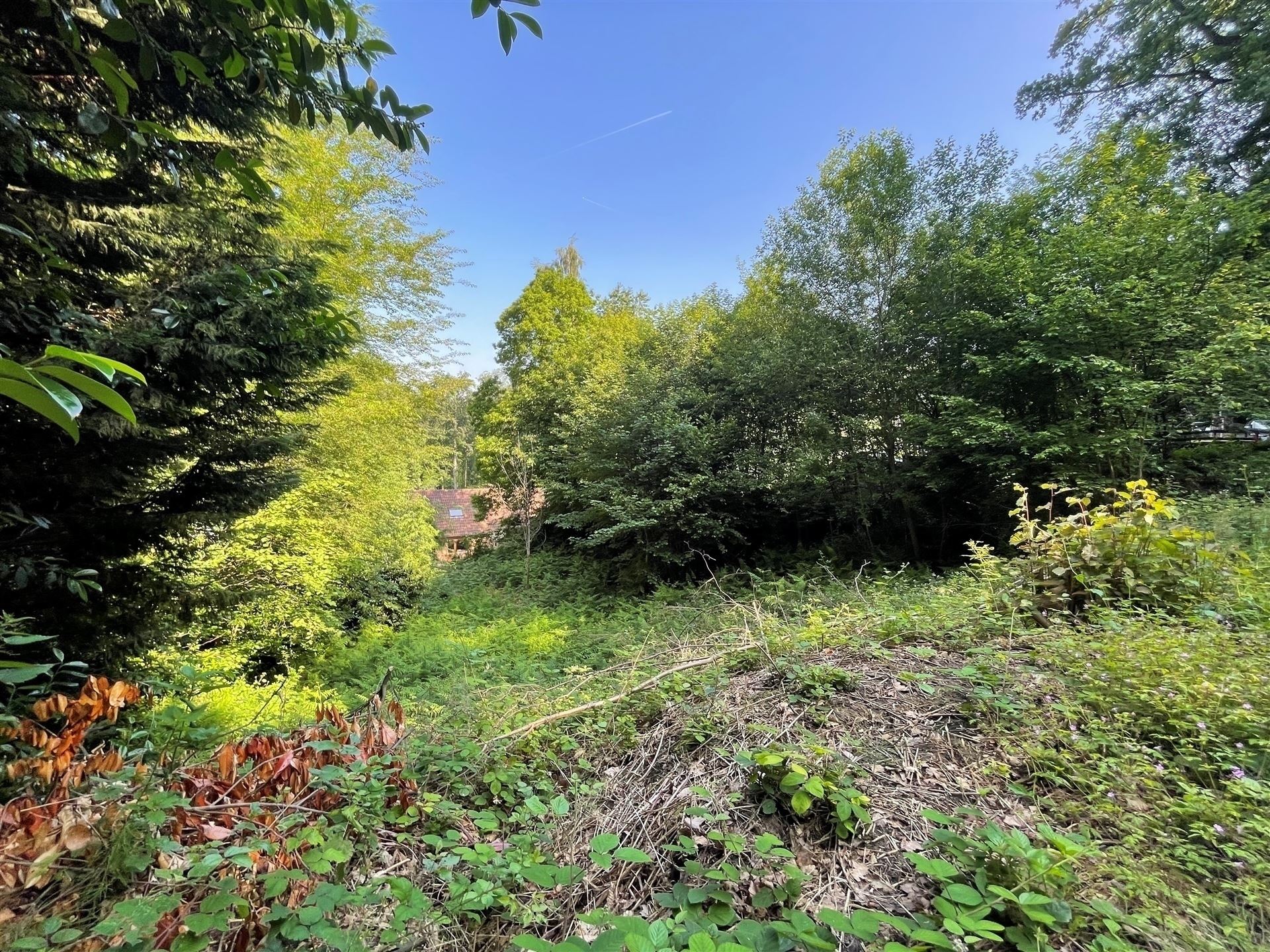 Land for sale in Hennuyères - photo 3