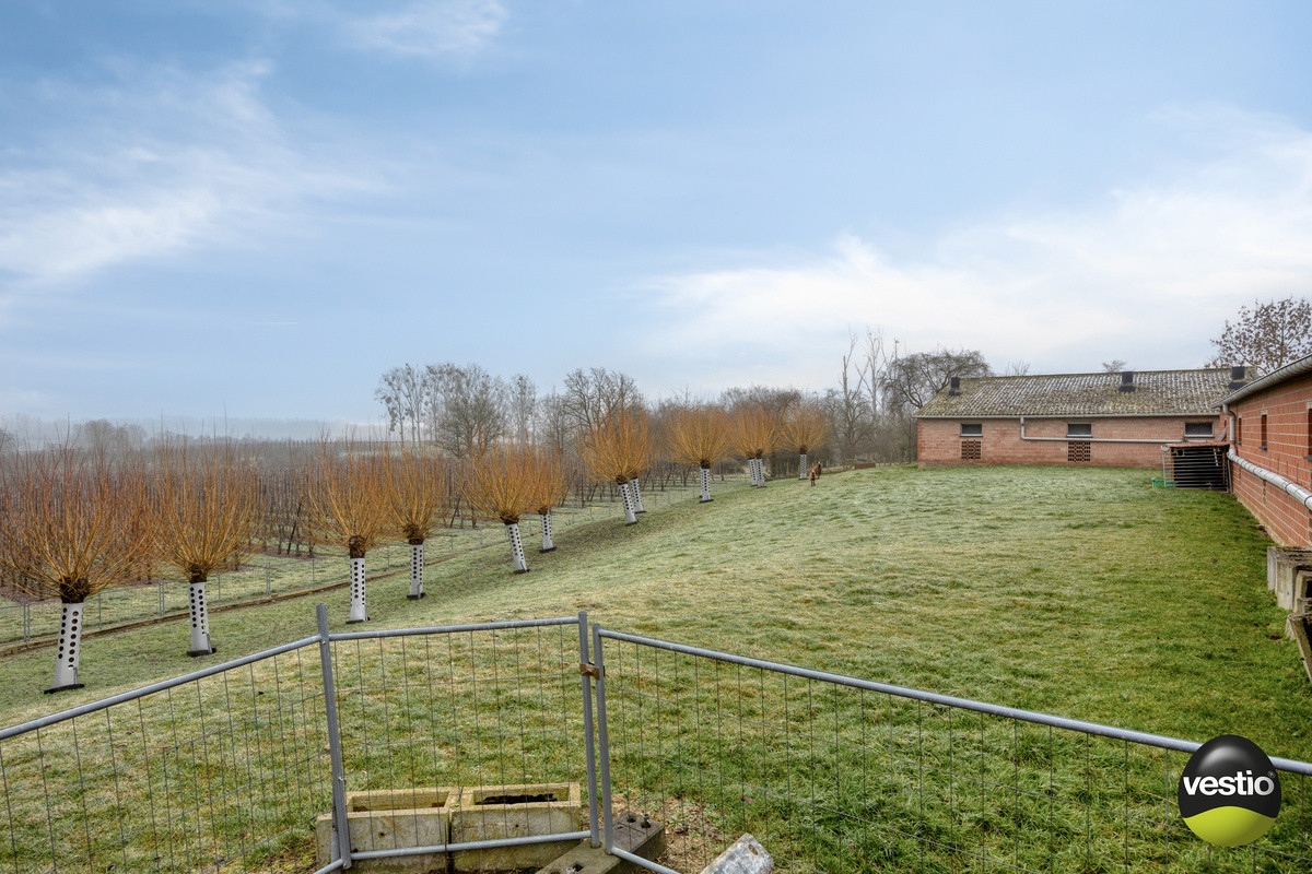 VIERKANTSHOEVE MET 4 BIJHORENDE VARKENSSTALLEN TE SINT-HUIBRECHTS-HERN op 65A79CA. - foto 4