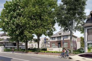 Commercial for rent in Hoogstraten