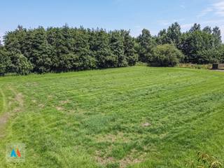 <strong>Exclusieve bouwgrond voor open bebouwing met aanpalend perceel hooiland op topligging in Loenhout (1.925 m²)<br /><br /></strong>Op zoek naar de ideale plek voor uw droomwoning? Ontdek dit mooi perceel bouwgrond van <strong>657 m²</strong>, gelegen in een rustige straat aan de rand van het dorpscentrum van Loenhout. Het naastgelegen perceel hooiland heeft een oppervlakte van <strong>1.268 m²</strong>.<br /><br />Deze bouwgrond (lot 17A) bevindt zich in de <strong>Molenbosweg</strong>, een aangename woonomgeving met vlotte bereikbaarheid en toch omgeven door <strong>bos- en landbouwgebied</strong> - een zeldzame combinatie van rust en nabijheid van alle voorzieningen.<br /><br />Met een straatbreedte van <strong>22,69 meter</strong> en een perceeldiepte van <strong>ca. 37 meter</strong>, biedt dit perceel tal van mogelijkheden voor het realiseren van een <strong>open bebouwing</strong>. Er kan gebouwd worden met een gevelbreedte tot <strong>15,03 meter</strong> en een bouwdiepte van <strong>15 meter</strong>.<br />Daarnaast is er ruimte voorzien voor een garage of bijgebouw, met een maximale oppervlakte van <strong>10% van het perceel</strong>. Ook een gekoppelde garage in de zijtuinstrook behoort tot de mogelijkheden.<br /><br />De grond maakt deel uit van een goedgekeurde verkaveling (vergunning dd. 20/10/2003 – nr. 146/0442(03)) en is gelegen in een straat voorzien van alle nutsvoorzieningen.<br /><br />👉 <strong>Troeven op een rij:</strong><br />
<ul>
<li>Exclusieve, rustige ligging nabij centrum Loenhout</li>
<li>Omgeven door bos- en landbouwgebied</li>
<li>Perceel van 1.925 m² (bouwgrond 657 m² + hooiland 1.268 m²)</li>
<li>Geschikt voor open bebouwing</li>
<li>Goede bouwmogelijkheden</li>
<li>Volledig uitgeruste straat</li>
</ul>
De stedenbouwkundige voorschriften en het verkavelingsplan zijn beschikbaar op eenvoudig verzoek.<br /><br />📞 Interesse? Contacteer ons voor meer info of een afspraak!