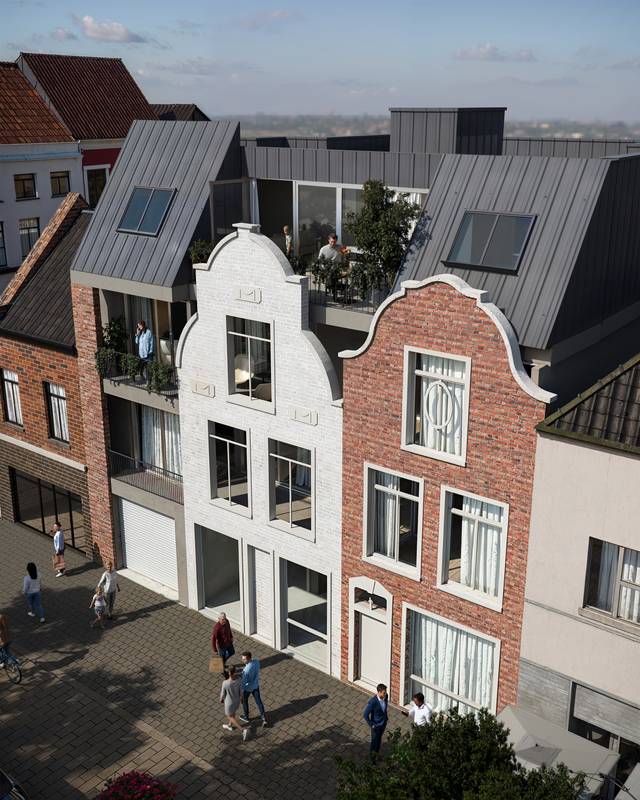 Project te koop in Geraardsbergen