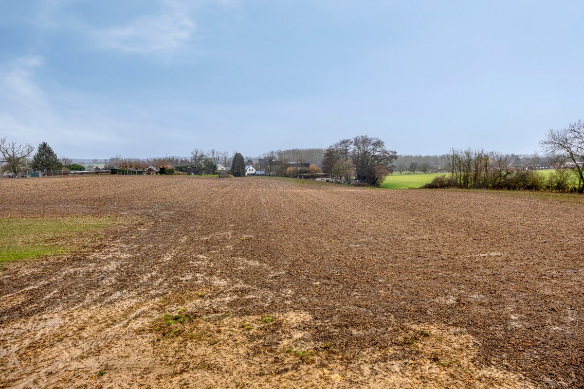 Land for sale in Bierbeek - photo 5