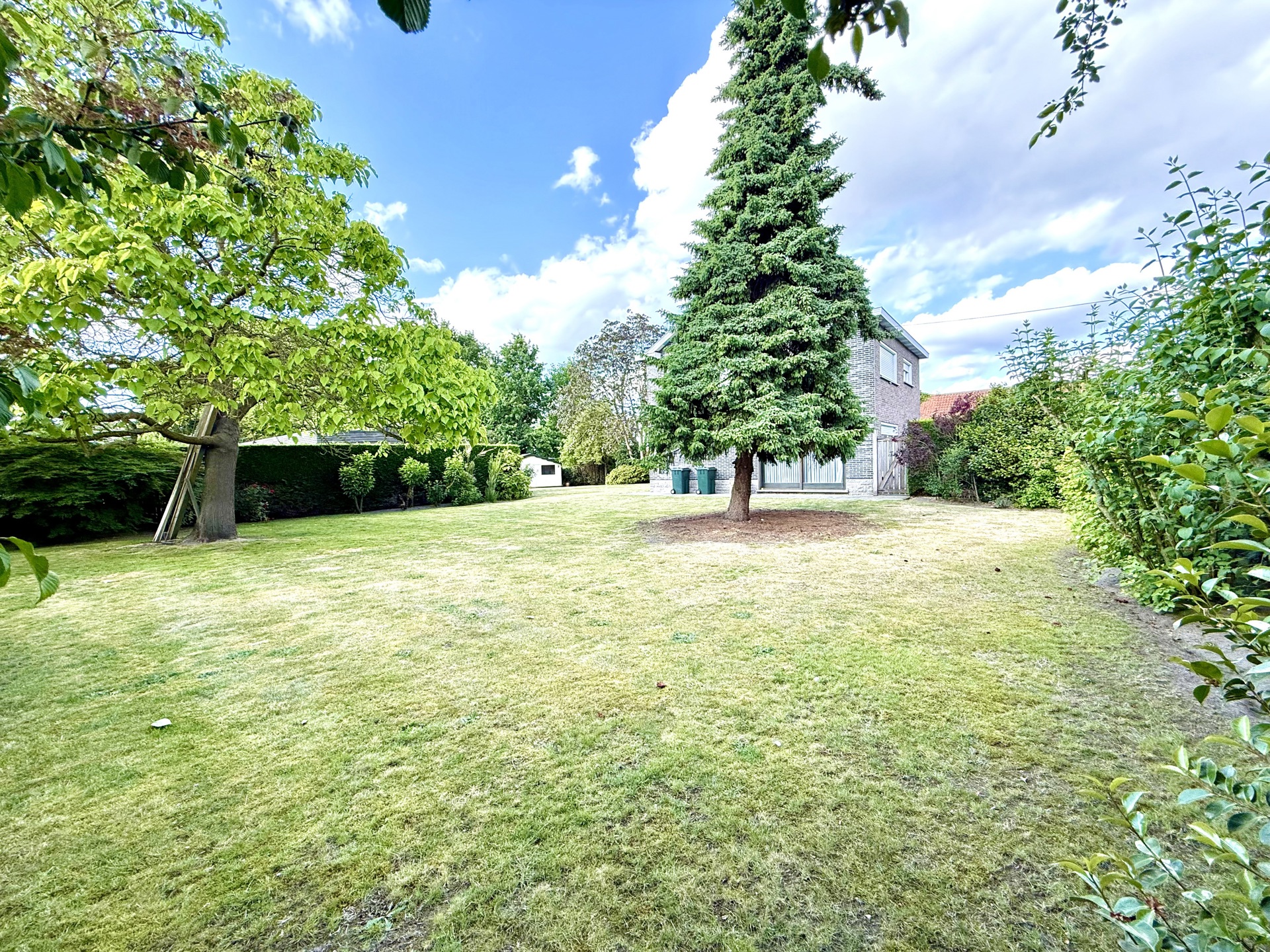 TOPgelegen degelijke VILLA met extra bouwgrond op 1137m2 - foto 3