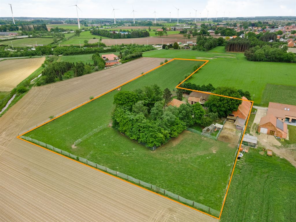 Landelijke gelegen woning met stallen op ca. 1,6ha te Retie - foto 5