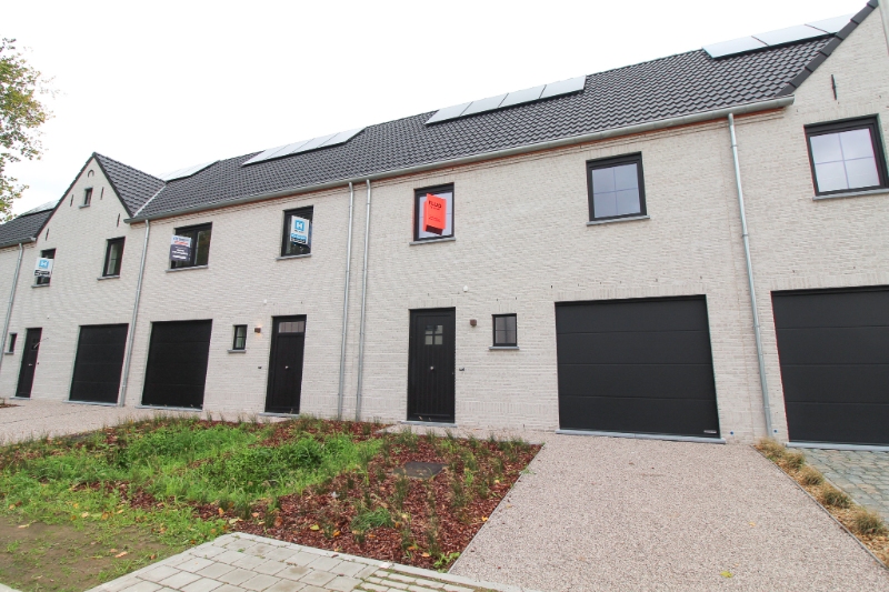 Maison à louer à Lokeren