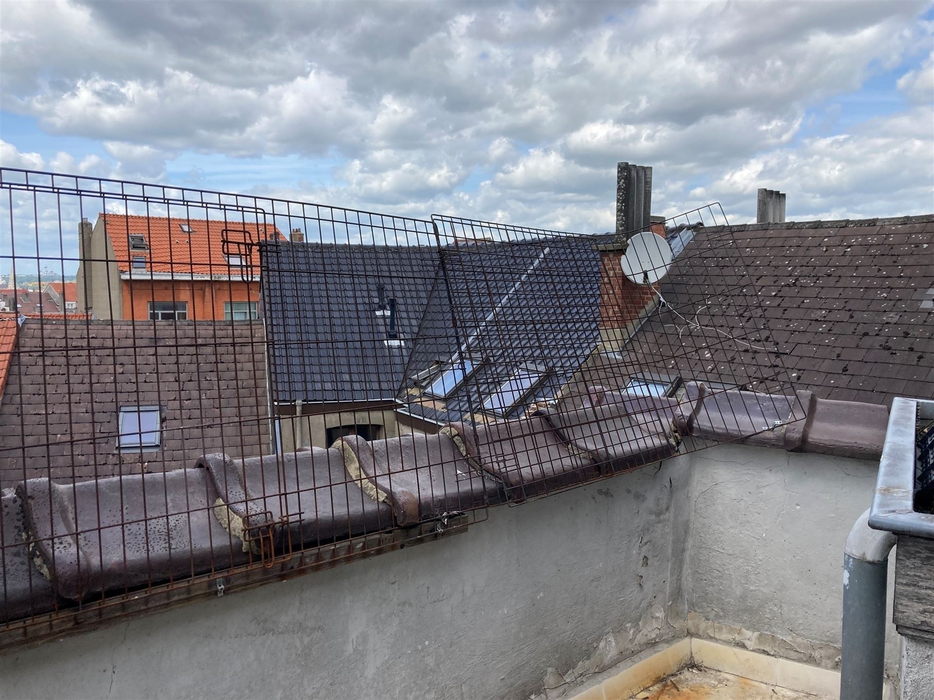 Bel appartement/duplex 1CH - Quartier Dailly - photo 4